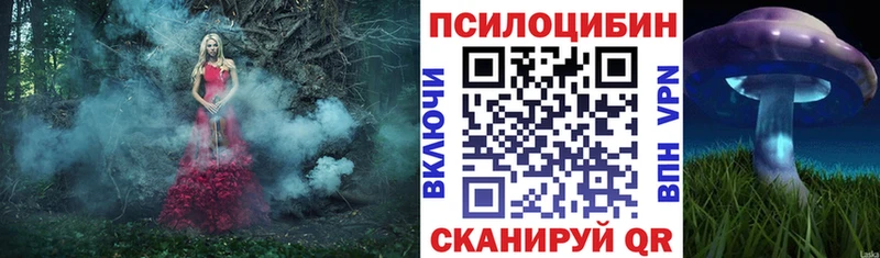 Псилоцибиновые грибы мухоморы  закладка  Инсар 